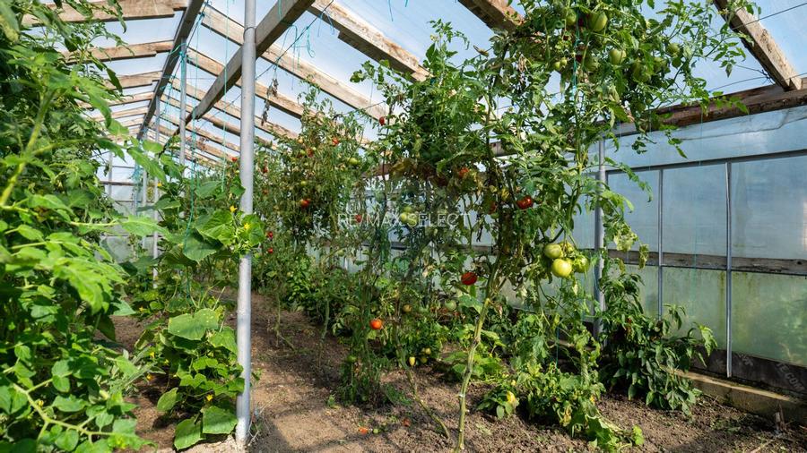 Vanzare vila si spațiu comercial, gradina si garaj-zona Corbii Mari - 18