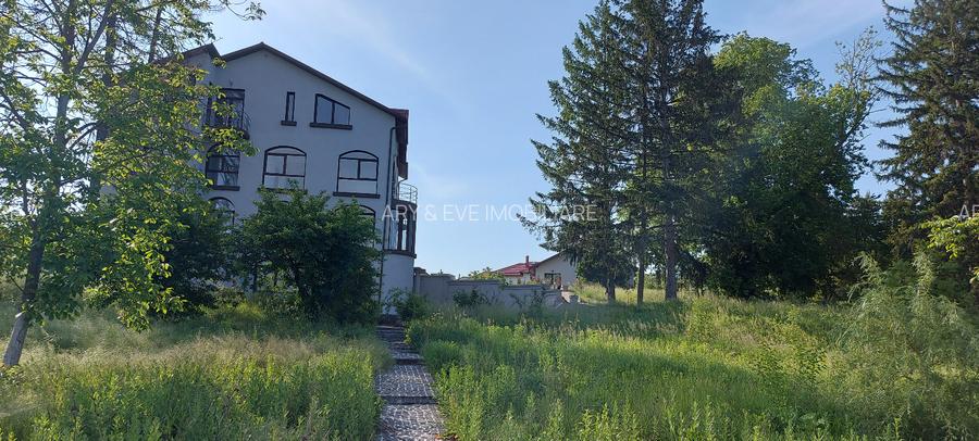 Domeniu Protocol Snagov 140m la Lac  11.000 mp Teren | Rezidență sau Evenimente - 4
