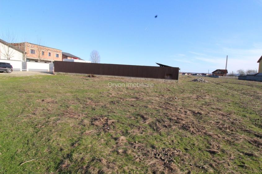 Teren extravilan, Târgu Jiu, strada Făgăraș - 4