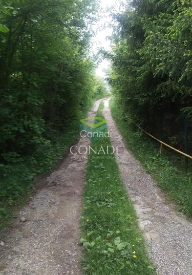 Teren Breaza  800mp pe colina priveliste superba - 5