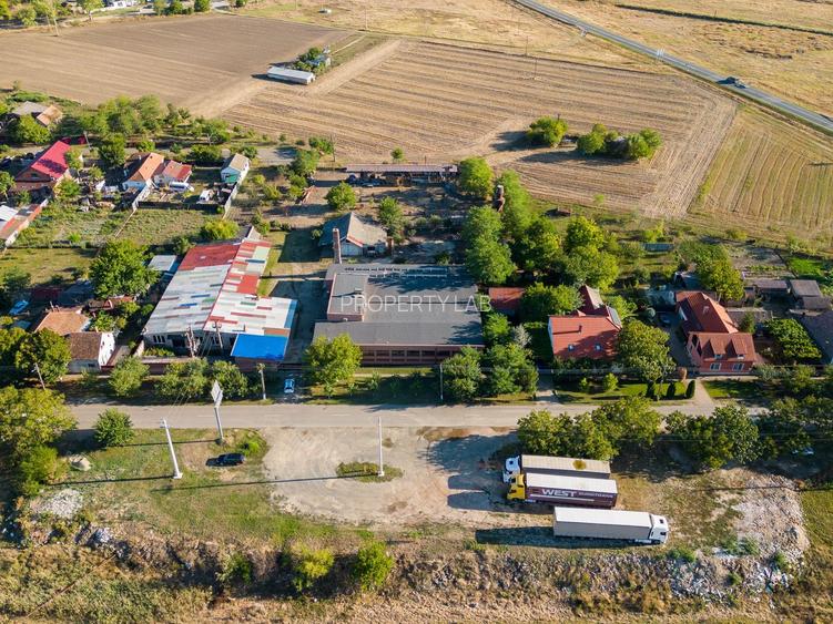 Hală industrială cu multiple destinații în Nădlac - 52