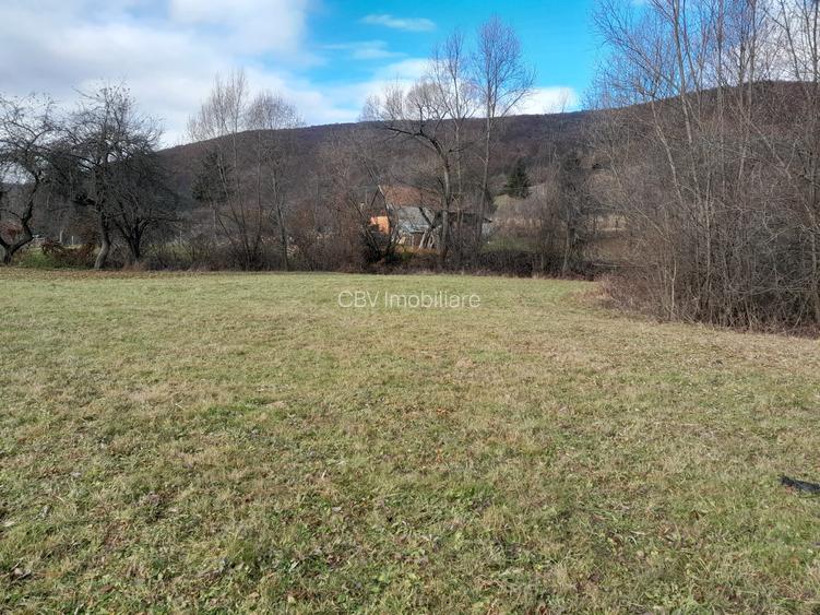 Teren Intravilan Ideal Pt Casa de Vacanta ,Valea Dobarlaului - 5