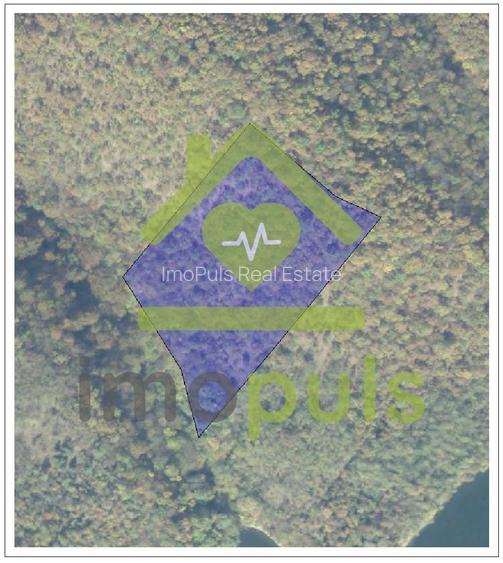 🗺️ Teren împădurit 20.720 mp (2,07 ha) – malul Lacului Cinciș ✨ - 5