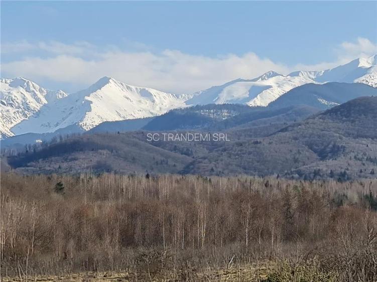 Teren intravilan 2500mp  pe Valea Avrigului,optim casa de vacanta - 3