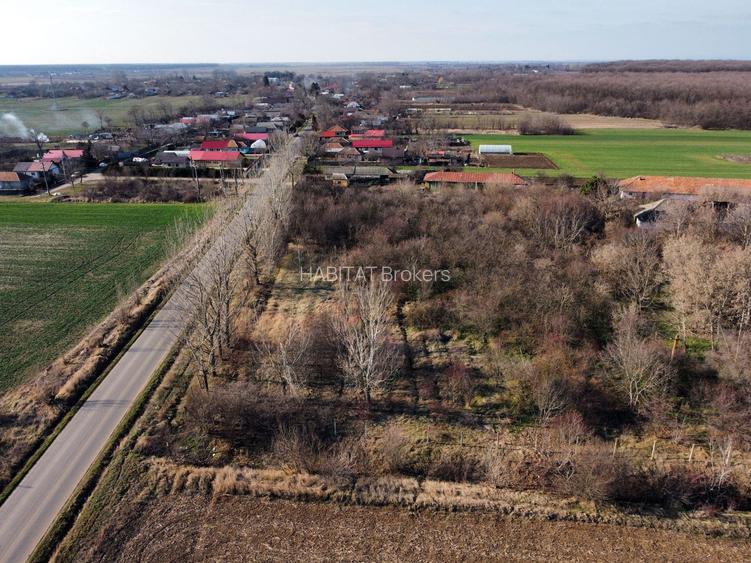 Ferma si livada de meri in judetul Ilfov - 12