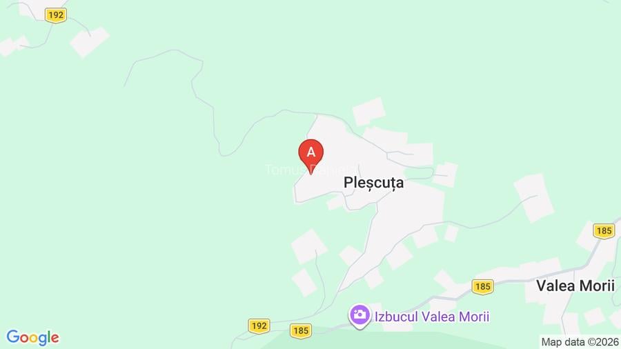 Teren de vânzare cu casă în Apuseni - 18