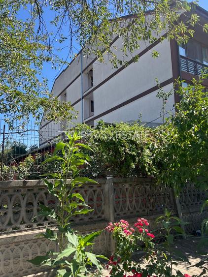 Teren str Renasterii Chitila - 4