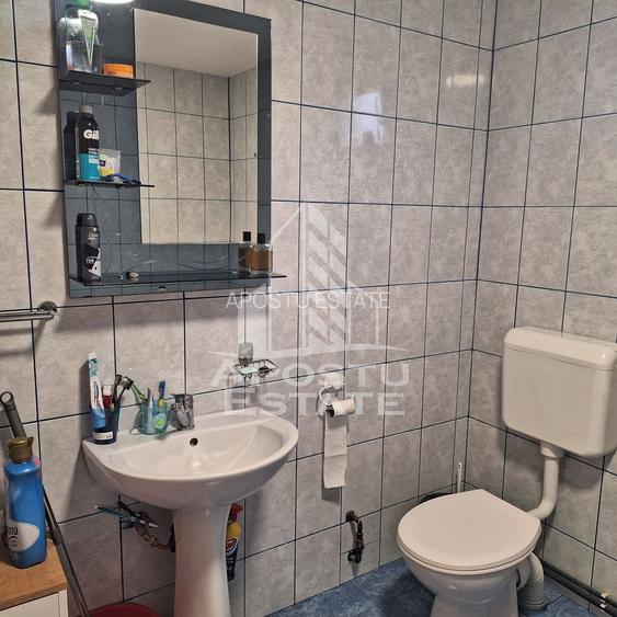 Casa Individuala in zona linistita in  Giarmata -Vii - 8