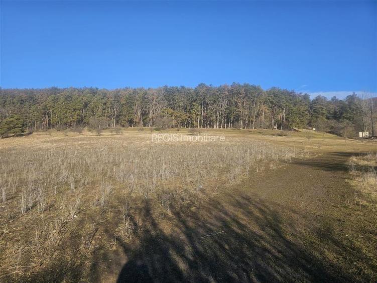 Teren Sanpetru 900mp Lempes - 5