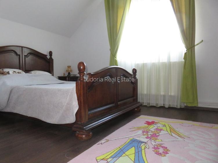 Proprietate Sannicoara, teren 1000 mp! - 19