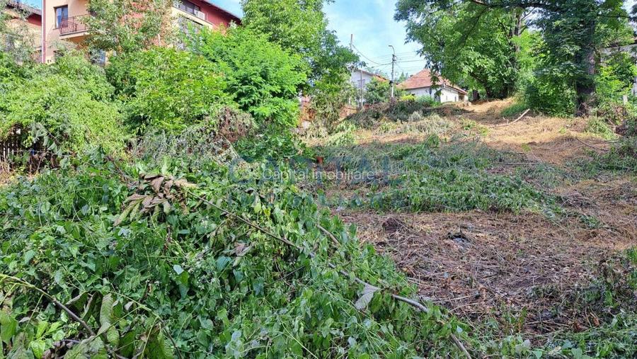 Teren intravilan 1000 mp, Cordos - 4