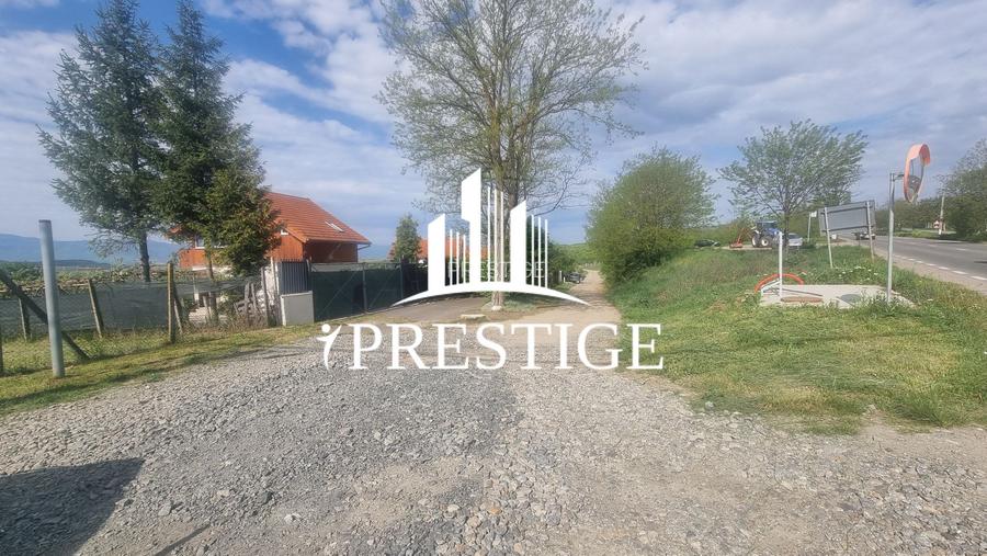 TEREN  EXTRAVILAN 2000 MP ÎN DAIA - BAVARIA | DEALUL 2 | DOAR 15€/MP - 35