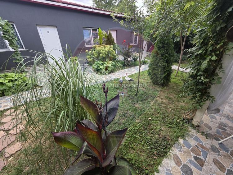 OPORTUNITATE UNICĂ: CASĂ DE VIS ȘI AFACERE LA CHEIE ÎN BERZASCA! - 12