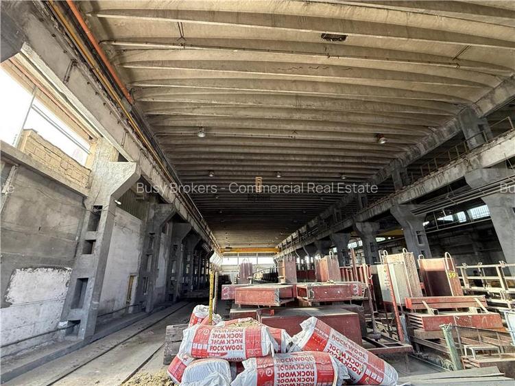 Spatiu Industrial - 4000 mp - Productie - Depozitare - Distributie - Sibiu - 9