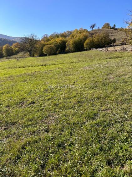 Parcelă de vânzare în inima Bucovinei – Mănăstirea Humorului - 3