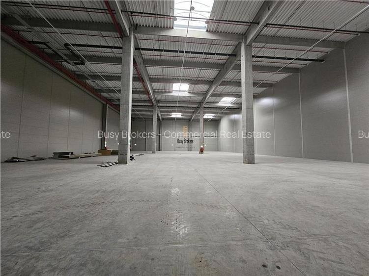 Spatiu Industrial - 900 mp - Logistica - Depozitare - Distributie - 7