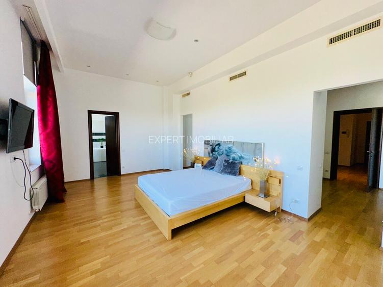 Aleea Privighetorilor- Penthouse 833 mp utili mobilat complet 3600 Euro + TVA - 16