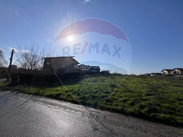 Teren 319mp cu AC Berceni / Mamina - 6