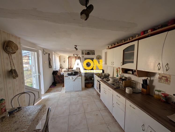 Casa cu 2 corpuri de cladire zona Hapria, 960mp Teren - 10