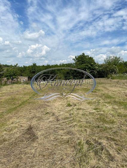 Teren intravilan generos cu utilitati si front larg in Jucu de Sus - 5