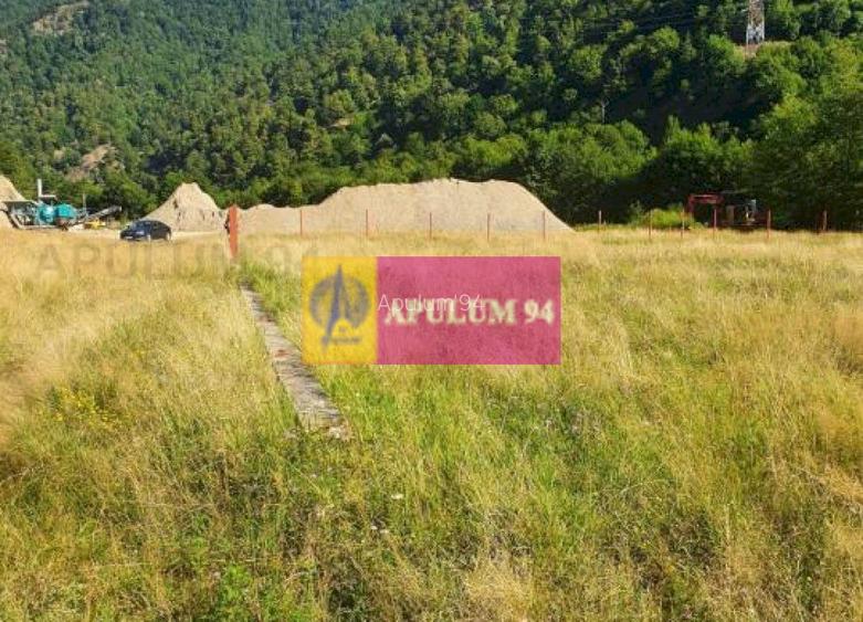 Teren Județul Vâlcea - Brezoi, Valea lui Stan - 33