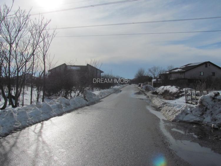 Clinceni - Olteni, Fortului, Stradal 5180 mp - 10