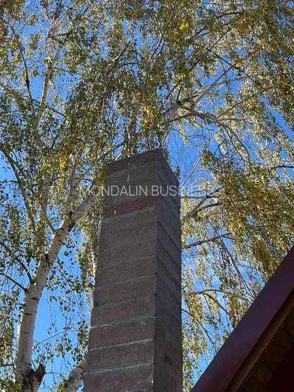 Casă de vacanță, 1100 MP teren, Cauaceu, Biharia, Bihor. - 10