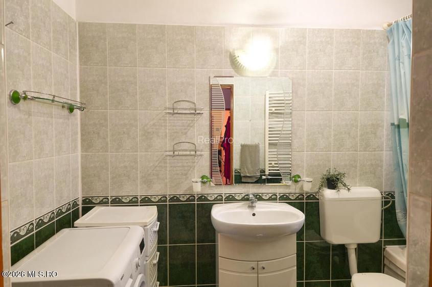 Lunei - Ion Neculce, 2 Apartamente. Mansarda 157 mp. Anexe, Lot 475 mp - 12