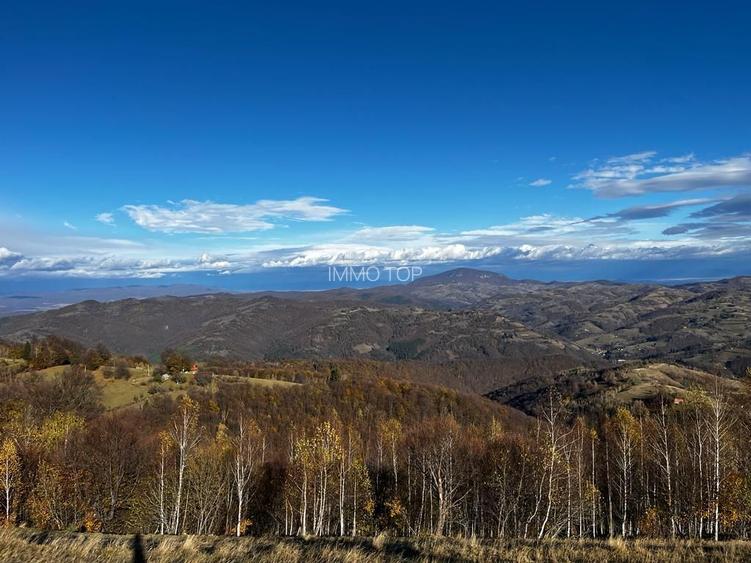 Teren extravilan 2ha, priveliste panoramica spre munti /Poiana Marului - 4