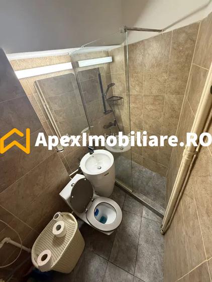 Apartament 2 camere de inchiriat Cismigiu București | ApexImobiliare.ro - 6