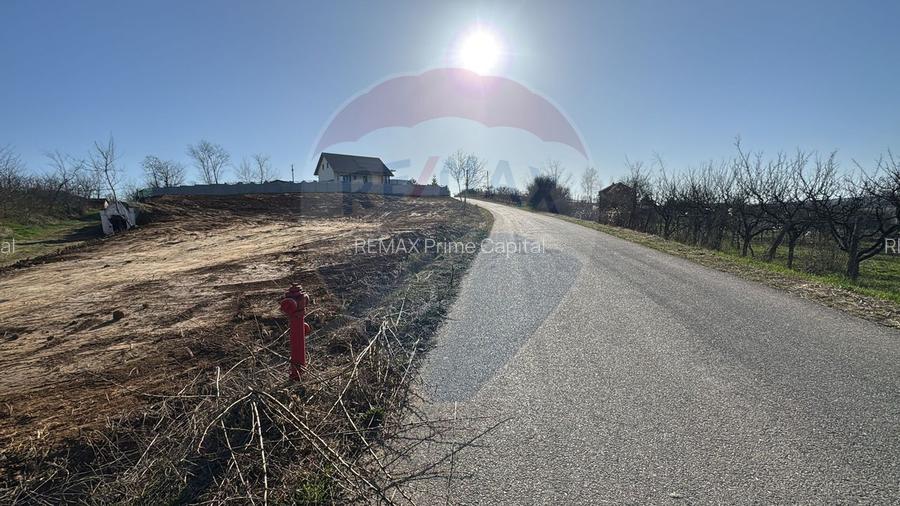 Teren intravilan de vânzare, 1107 mp –Paleu, județul Bihor - 2