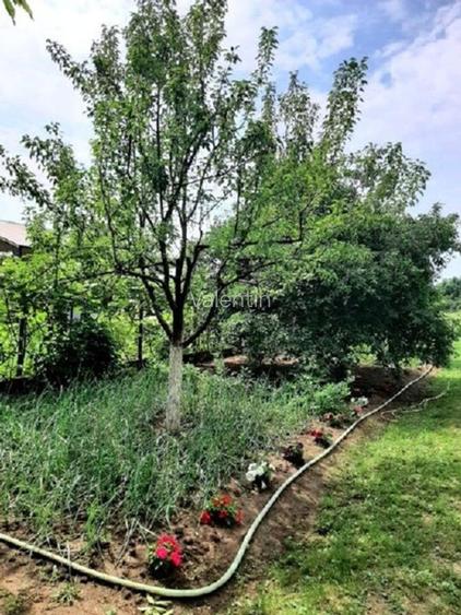 Casă 200mp + teren 2745mp la 30km Bucuresti - preț ajustat pentru vânzare rapidă - 13