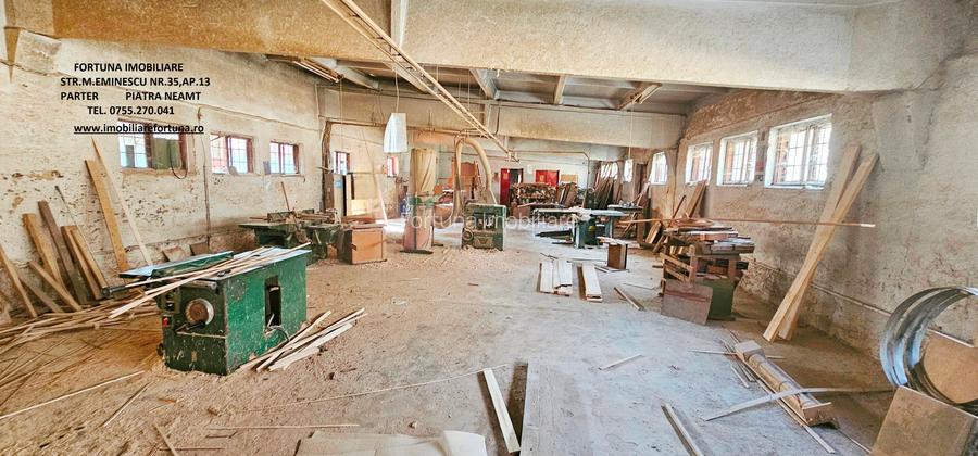 Hala si teren , Piatra Neamt - 9