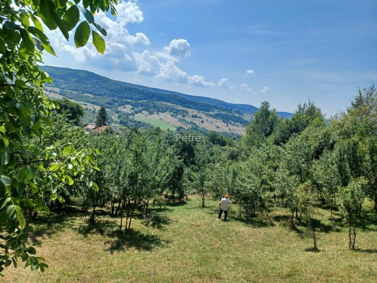 24.141 mp 1h30' de Bucuresti -  ideal casa sau complex retreat - 8