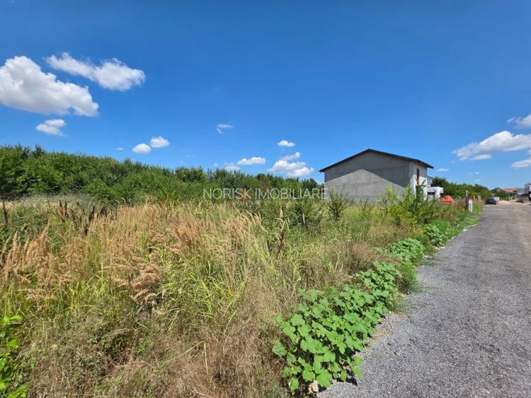 Preț redus! Teren 1.120 mp | Autorizație de construire | Corbeanca - 3