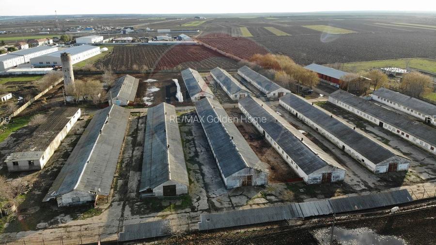 Hale 16 mii mp cu 9 ha teren intravilan - 3