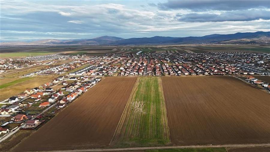 Loturi de vanzare cu PUZ, 500 mp, Izvor, Brasov - 3