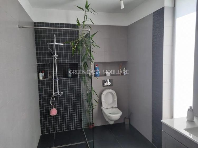 Casa deosebita, utilata mobilata, Faget, 311mp utili - 7