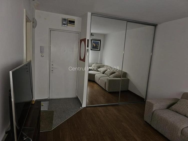 Garsoniera mobilata, Investitie,inchiriata 250 euro, Teiul Doamnei - 5