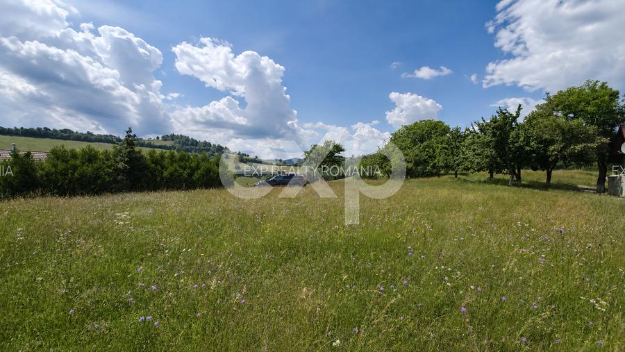8.544 mp în Poiana Mărului | Teren cu potențial, la doar 1 km de asfalt - 7