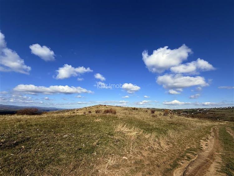 Comision 0% Oportunitate investitie teren extravilan  Salicea - 8