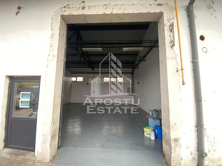 Hala de inchiriat Timisoara - Dambovita, depozitare, service auto - 8