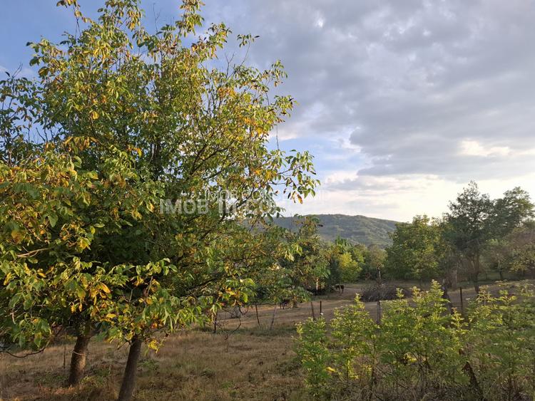 Teren spectaculos cu padure, livada si priveliste panoramica in Soimari PH - 15