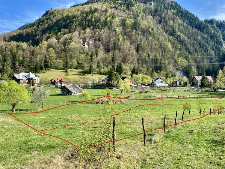 Teren panoramic insorit, utilitati, panta mica si padure, turism sau vacanta - 4