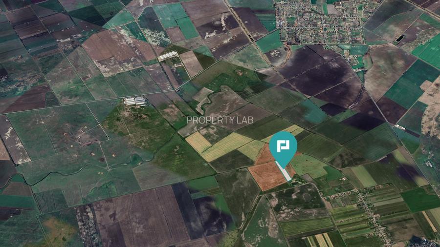 Teren extravilan de 28900 mp în Variașul Mare - 3