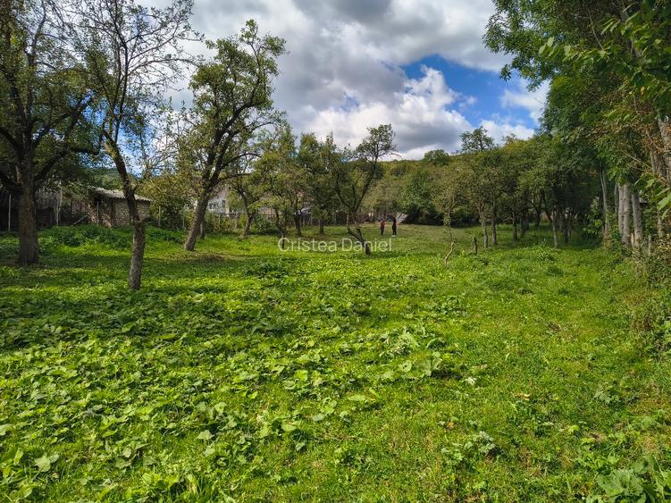 Teren intravilan 2000 mp Fieni – toate utilitatile + drum asfaltat - 3