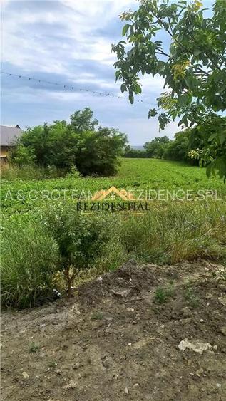 TEREN INTRAVILAN 4400 - 2