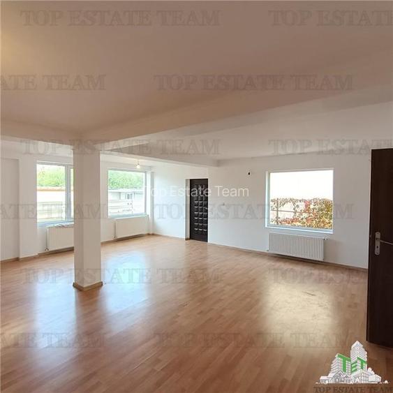 Casa individuala de vanzare  / potrivita si pentru business in zona parcului din - 11