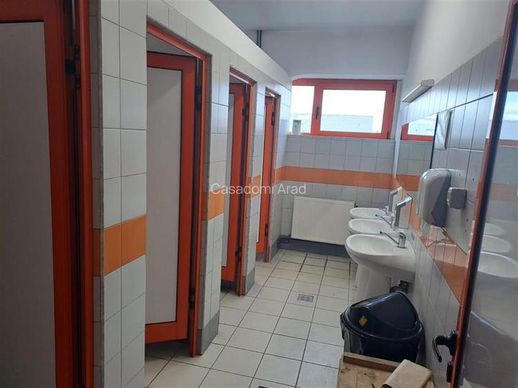 Hala pentru activitati industriale sau comerciale in Zona Industriala Arad Est - 7