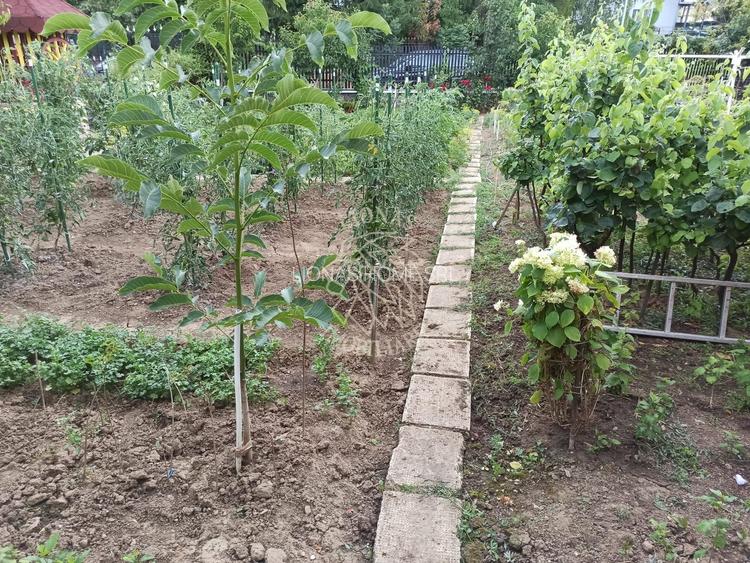 Casa 190 mp-teren 1860 mp-garaj-curte amenajata-Valea Sigmirului - 8